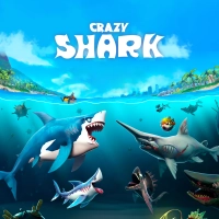 Play game Crazy Shark now!